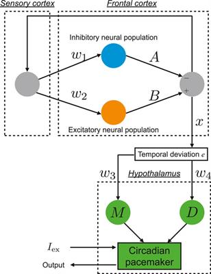 Stabilizing Circadian Rhythms in Bipolar Disorder by Chaos Control Methods